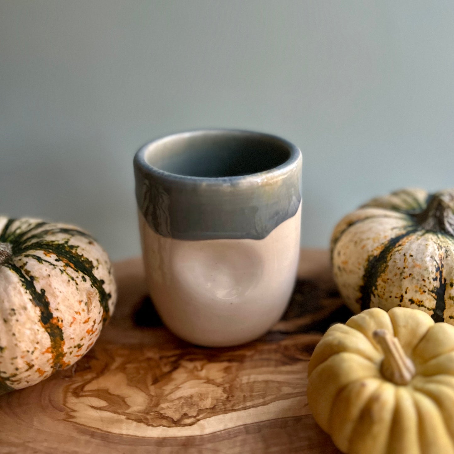 holiday edition tumbler • blue cardinals