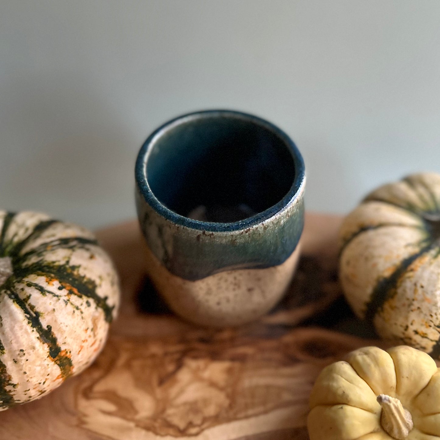 back to the trees tumbler • no. seventy-four