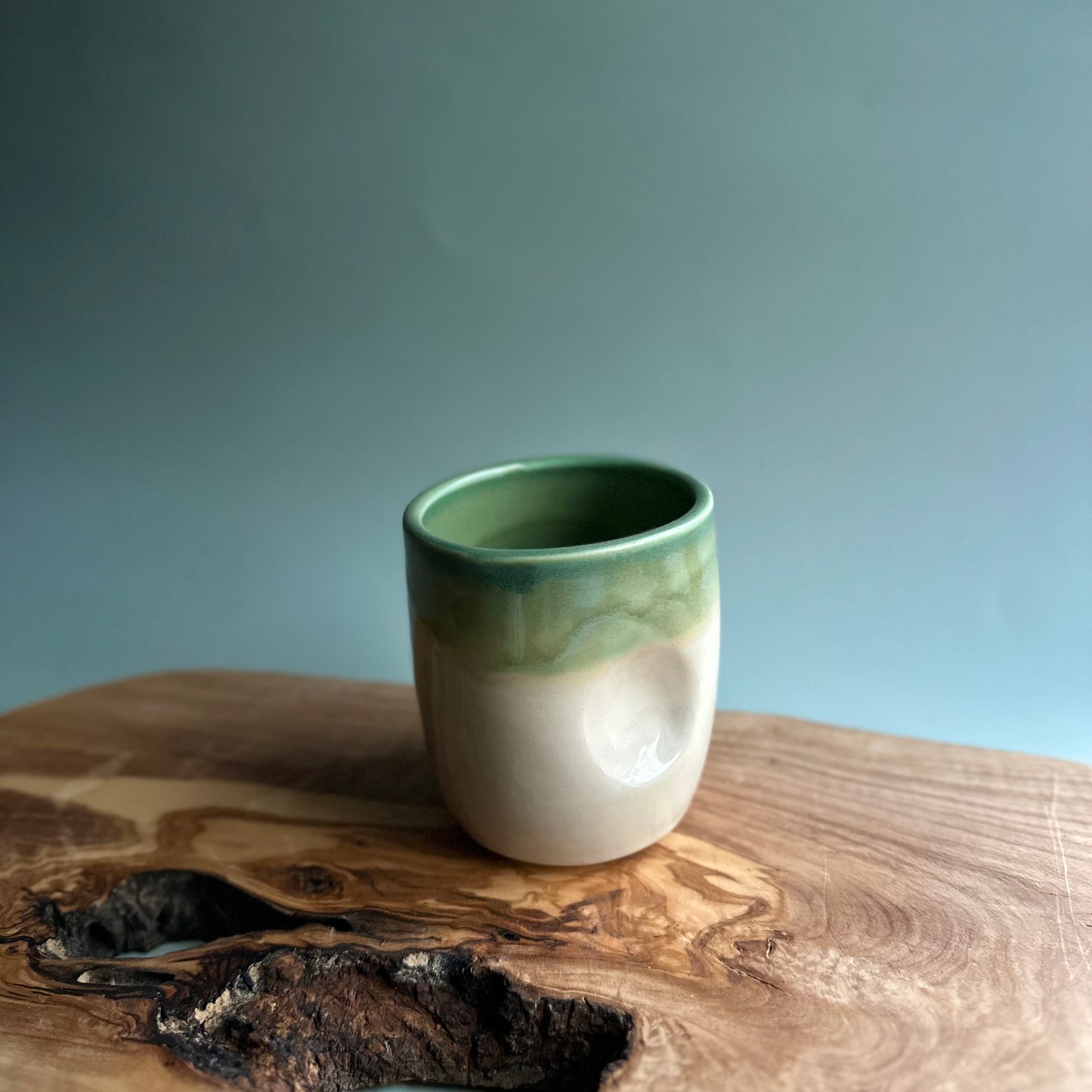 back to the trees tumbler • no. seventy-eight