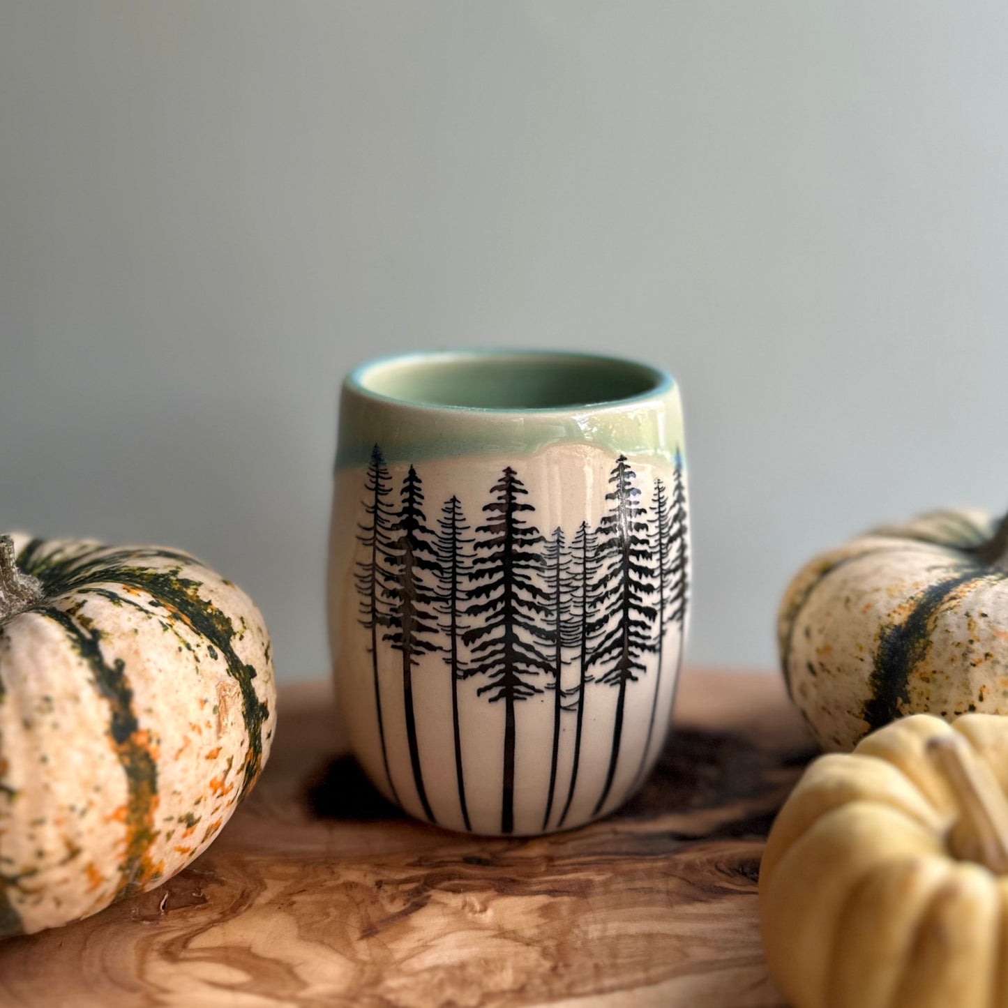 back to the trees tumbler  • no. seventy-four