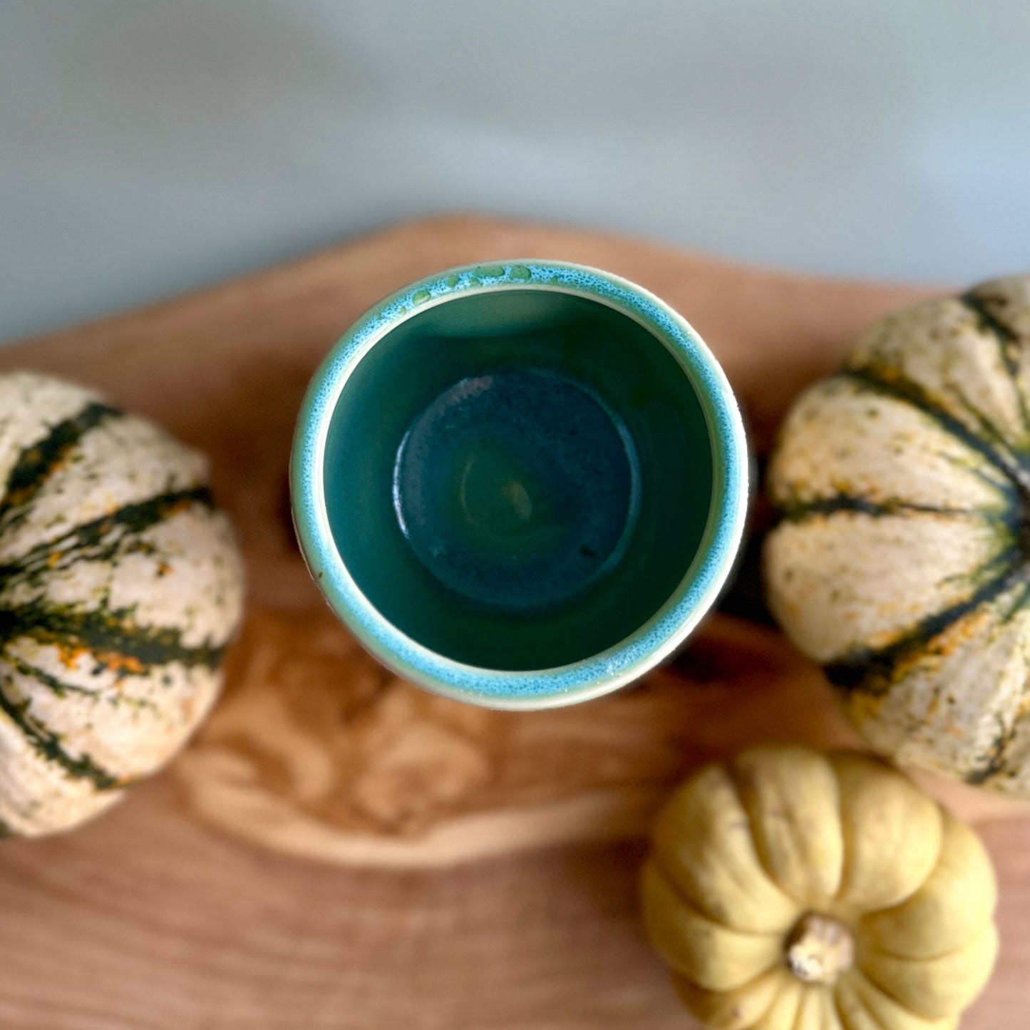 back to the trees tumbler  • no. seventy-four