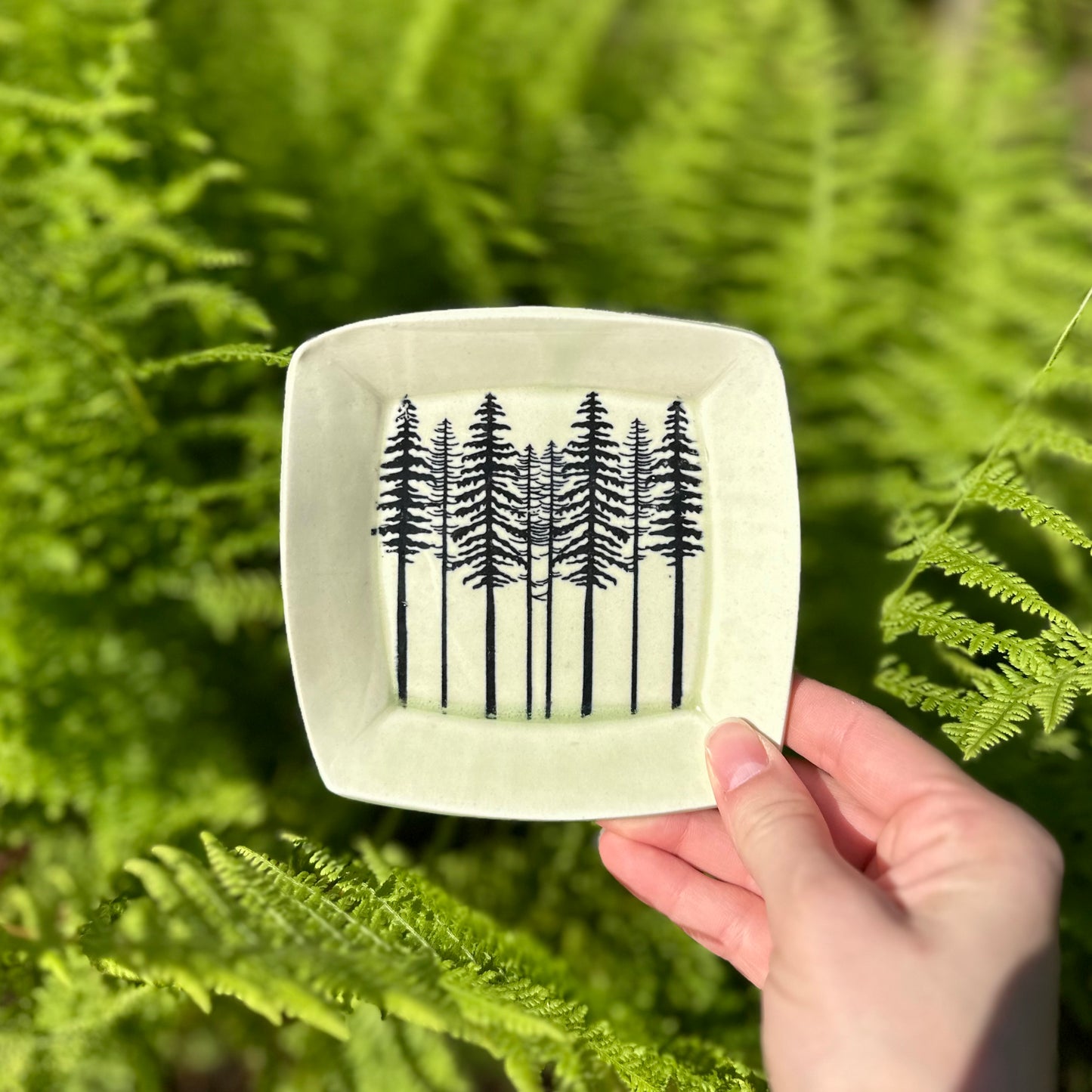 treeline square dish • no. two